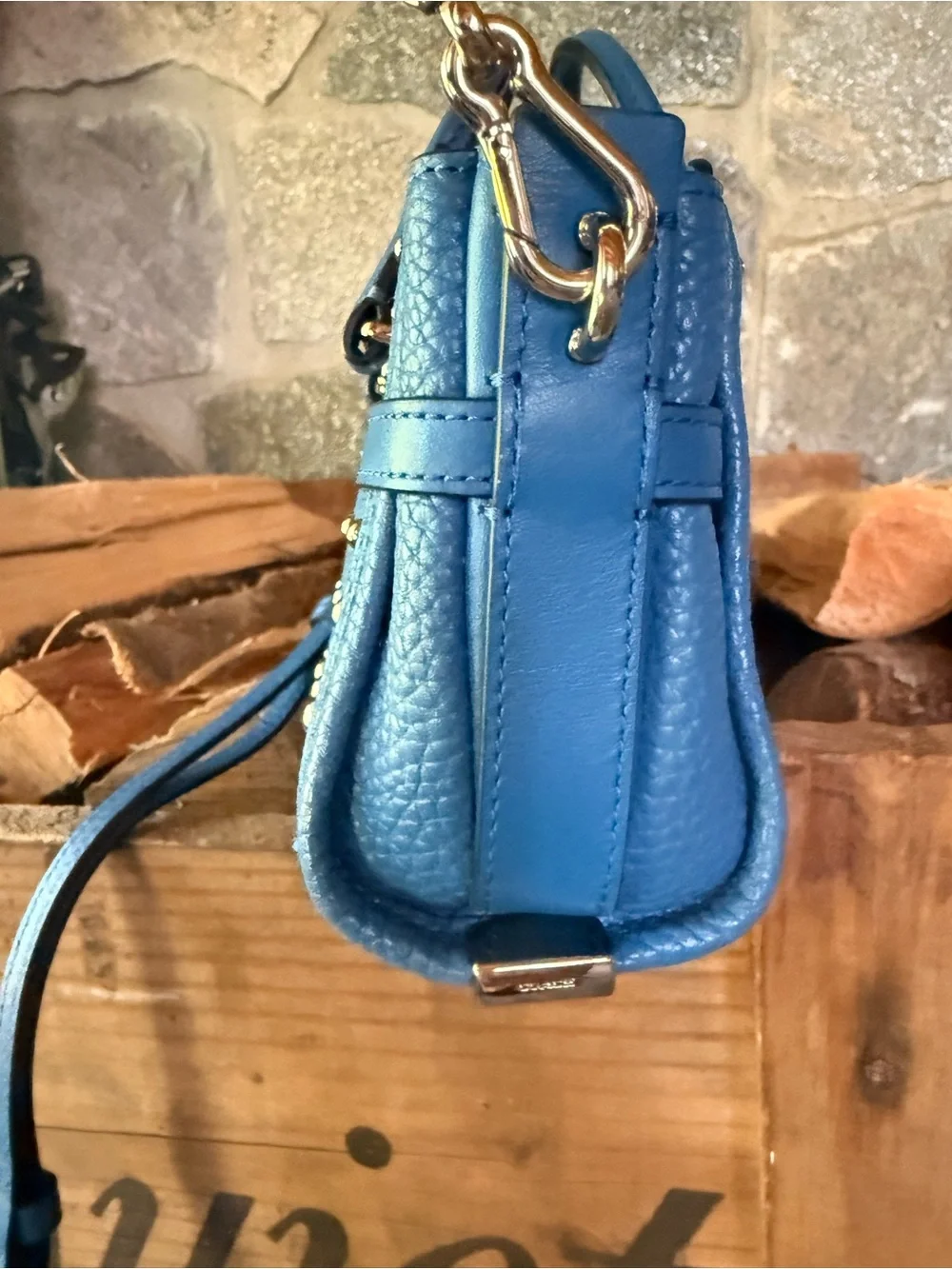 Coach Mini Swagger 15 Crossbody Bag